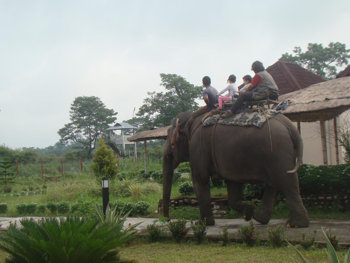 Musa Jungle Retreat Kumguri Zewnętrze zdjęcie